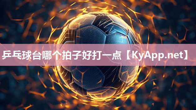 乒乓球台哪个拍子好打一点