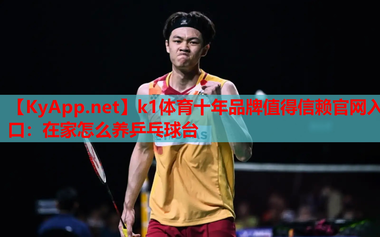 在家怎么养乒乓球台